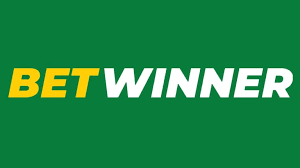 Betwinner Your Go-To Platform for Sports Betting 1109758924