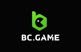 BC HashGame The Ultimate Casino Experience 1021259957