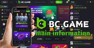 Maximize Your Gaming Experience with BC.Game Bonus Codes
